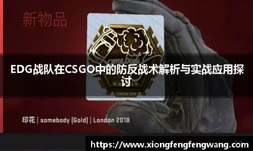 EDG战队在CSGO中的防反战术解析与实战应用探讨